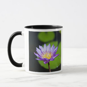 Mug Cancun, Mexique