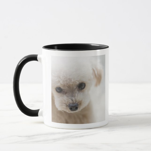 Mug caniche de jouet (Gauche)