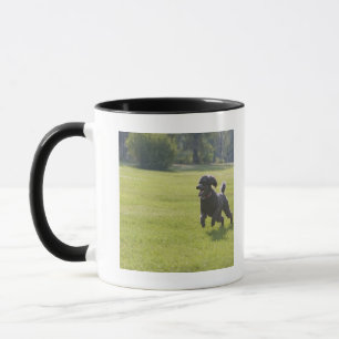 Mug Caniche jouant le frisbee