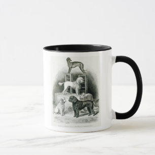Mug Caniches et whippet - groupe de M. Walton's