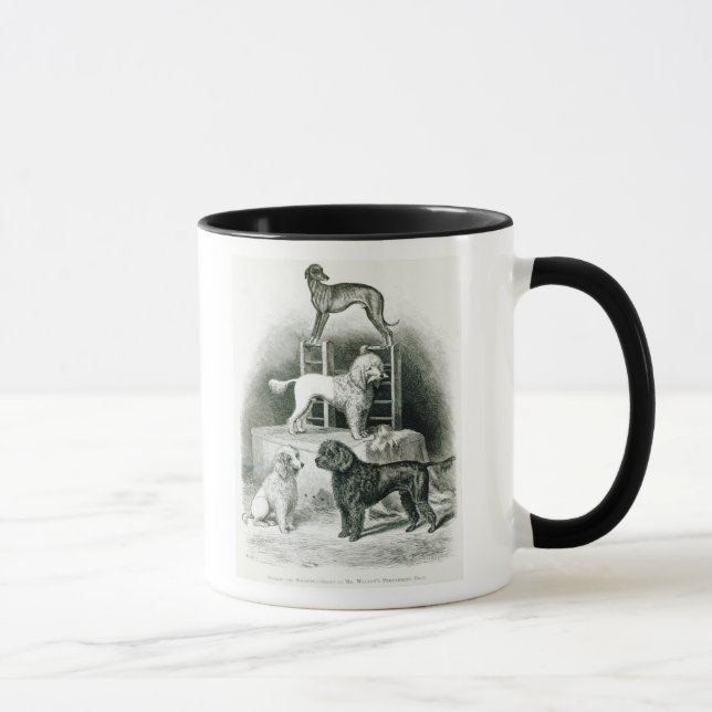 Mug Caniches et whippet - groupe de M. Walton's (Droite)