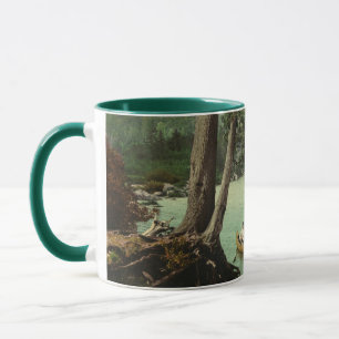 Mug Canoë sur un ruisseau de montagne Adirondack