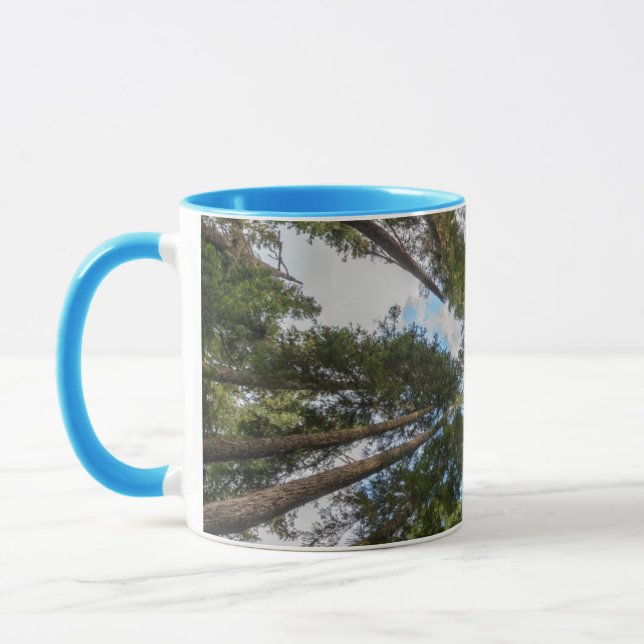 Mug canopée de sapin de Douglas (Gauche)