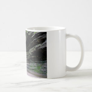 Mug Canyon français.jpg