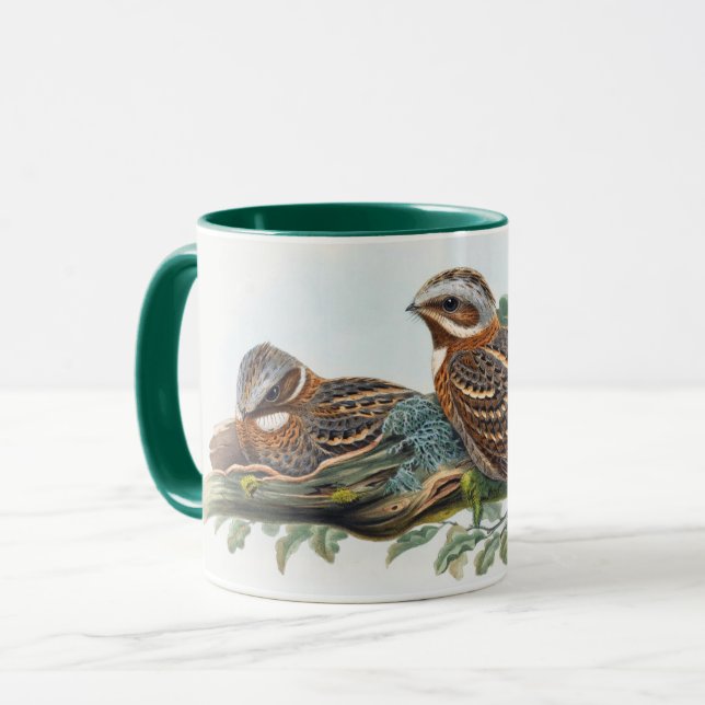 Mug Caprimulgus Ruficollis (Devant gauche)