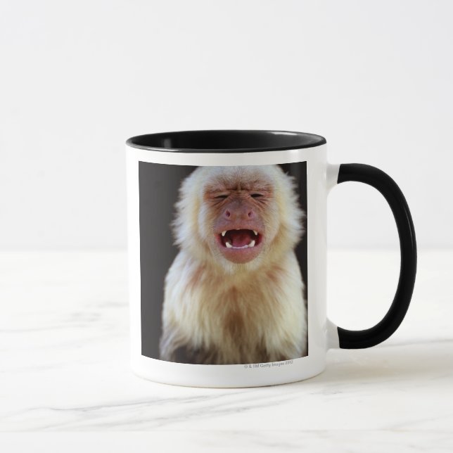Mug capucin Blanc-throated (capucinus de Cebus) (Droite)