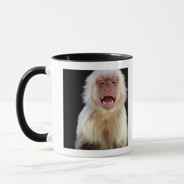 Mug capucin Blanc-throated (capucinus de Cebus) avec (Gauche)