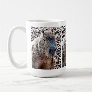MUG CAPYBARA ANIMAL SAUVAGE