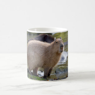 Mug Capybara au bord d'un étang