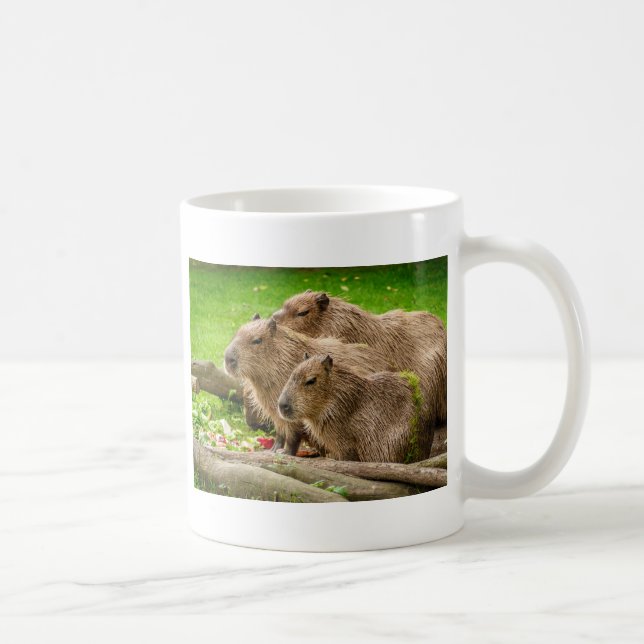 Mug Capybara Trio (Droite)
