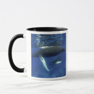 Mug Caraïbes, archipel des Grandes Antilles,