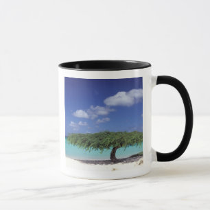Mug Caraïbes, Aruba. Plage Eagle