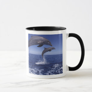 Mug Caraïbes, dauphins à gros nez