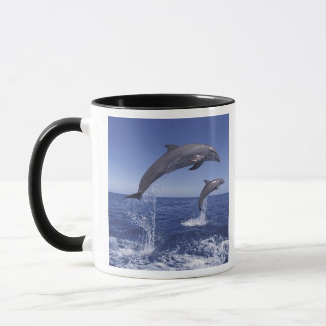 Mug Caraïbes, dauphins à gros nez (Gauche)
