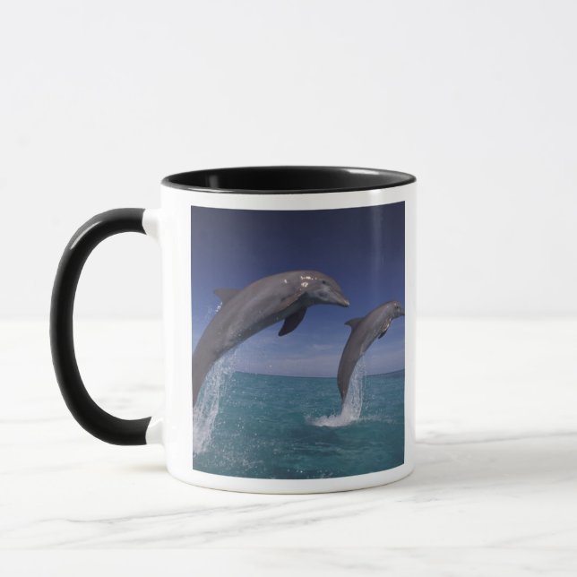 Mug Caraïbes, dauphins à gros nez Tursiops (Gauche)