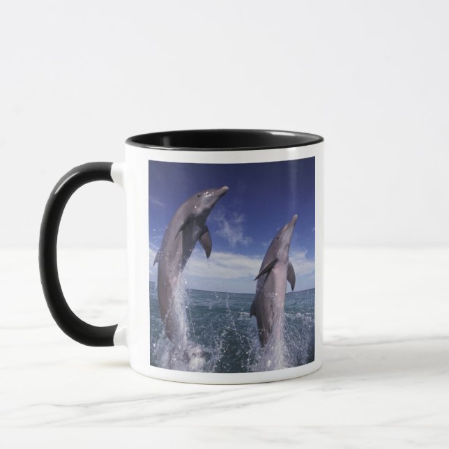 Mug Caraïbes, dauphins de Bottlenose Tursiops (Gauche)