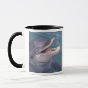Mug Caraïbes, Grand dauphin