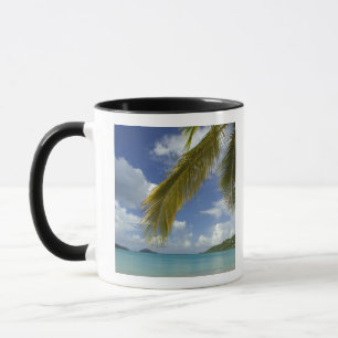 Mug Caraïbes, îles Vierges américaines, Saint-Thoma
