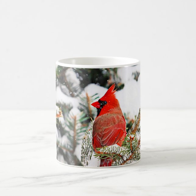 Mug Cardinal dans un pin (Centre)