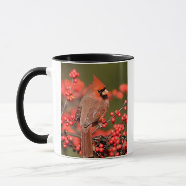 Mug Cardinal du Nord sur Houx verticillé (Gauche)