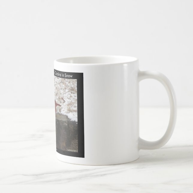 Mug Cardinal Hot Springs Nat. Park Mt AR Cadeaux Vêtem (Droite)