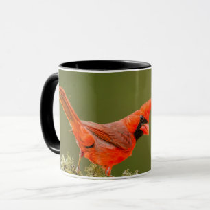 Mug Cardinal mâle sur une branche