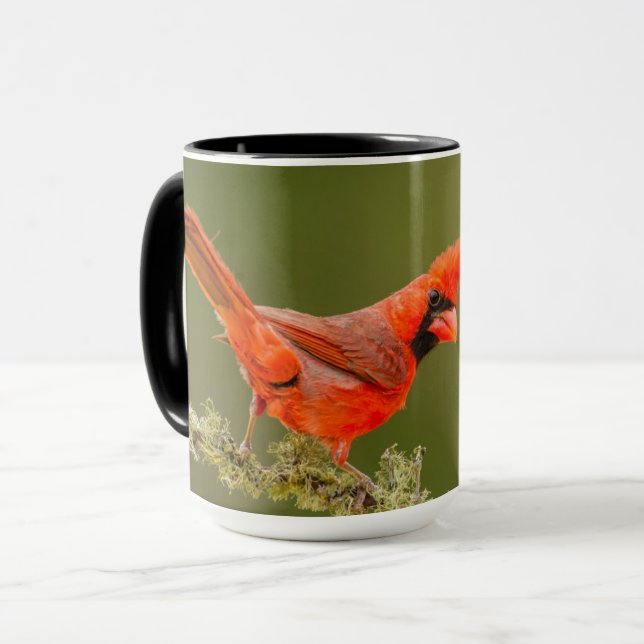 Mug Cardinal mâle sur une branche (Devant gauche)