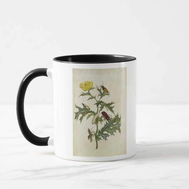 Mug Cardos Spinosus : Scarabées et chenilles, plat 6 (Gauche)