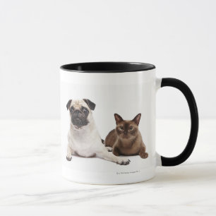 Mug Carlin et chat birman