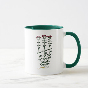 Mug Carnation italienne 6