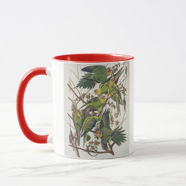 Mug Carolina Parakeet, de 'Birds of America', 1829 (Gauche)