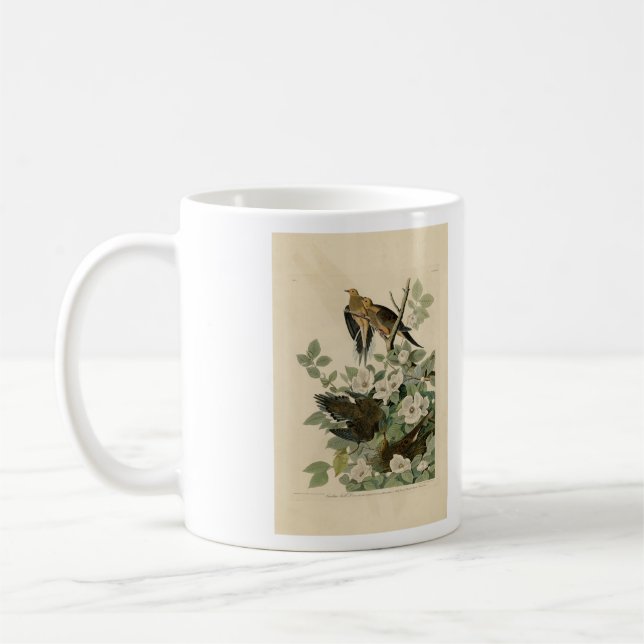 Mug Carolina Turtle Dove Mourning Dove Audubon's Birds (Gauche)