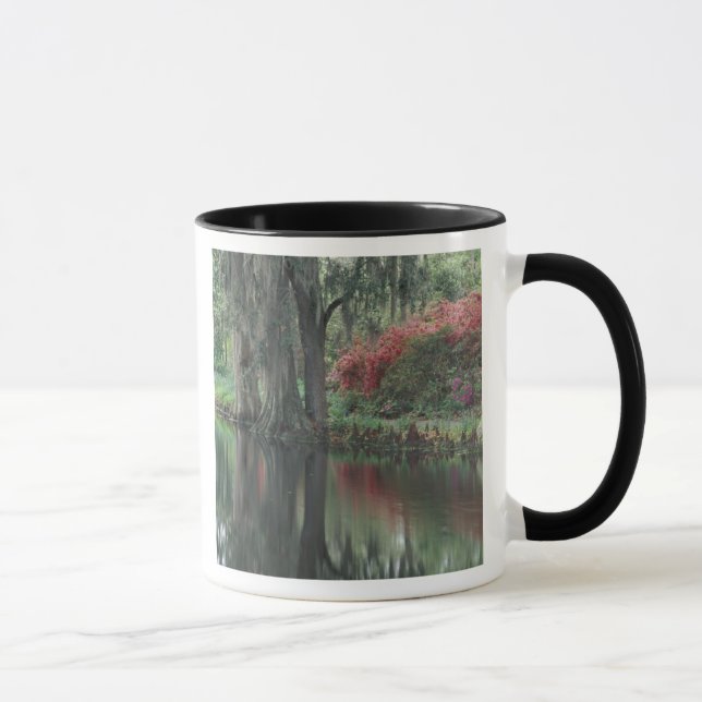 Mug Caroline du Sud, Charleston (Droite)