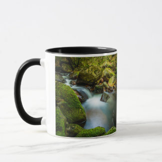 Mug Cascades de Coolalingo : Sérénité à Wicklow
