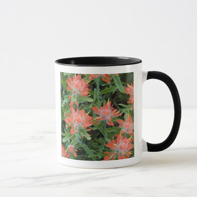 Mug Castilleja des Indiens sauvages dans les Many (Droite)