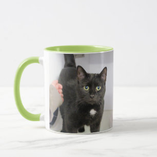Mug Cat