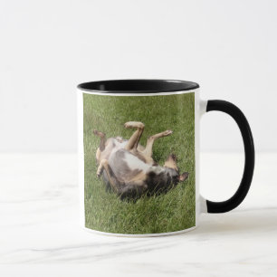 Mug Catahoula Leopard Chien Roulant dans l'herbe