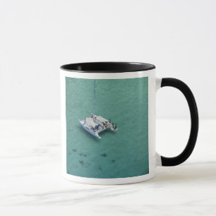Mug Catamaran, îles Mamanuca, Fidji, Pacifique Sud
