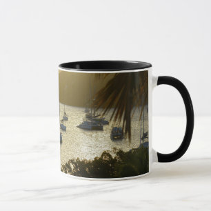 Mug Catamarans et voiliers
