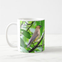 Cèdre à cire par BirdingCollectibles