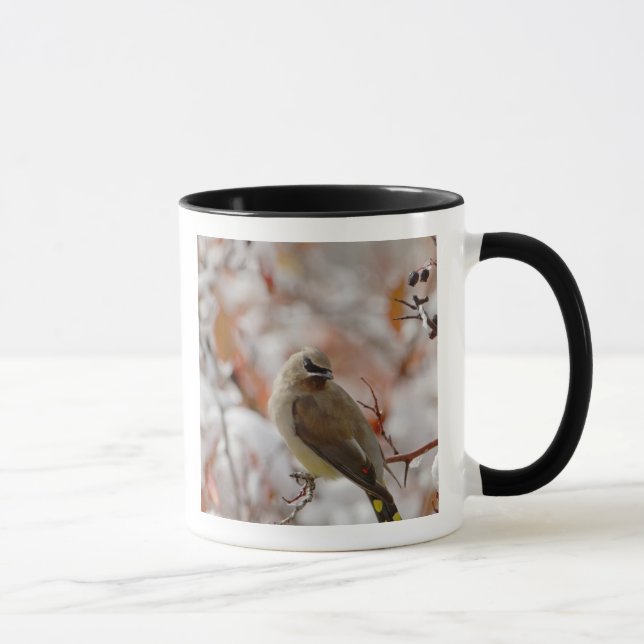 Mug Cèdre adulte cirer sur l'aubépine avec neige, (Droite)