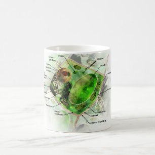 Mug cellule de plante