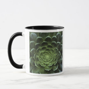 Mug Centre de cactus