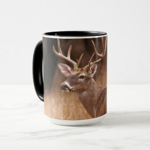Mug Cerf à queue blanche    Choke Canyon State Park, T