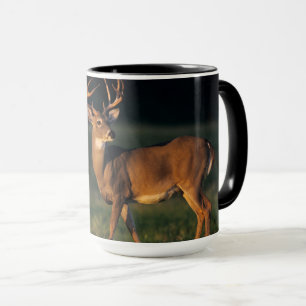 Mug Cerf à queue blanche Choke Canyon State Park, TX