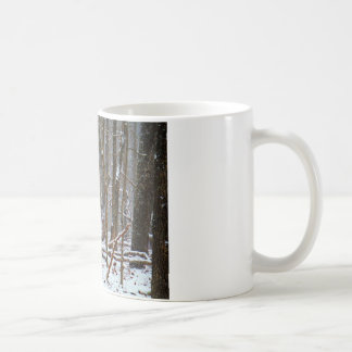 Mug cerf à queue blanche dans la neige