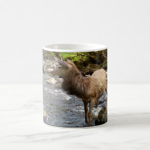Mug Cerf élégant des Highlands, jeune cerf roux mâle, 