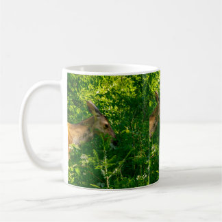 Mug Cerf roux dans la forêt.