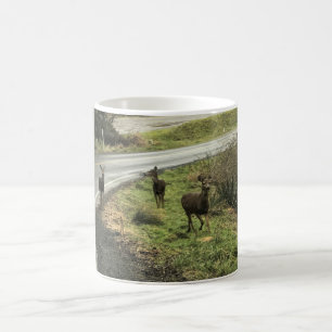 Mug Cerf sur la route, Cap Déception, WA