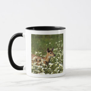 Mug cerfs communs Blanc-coupés la queue dans le